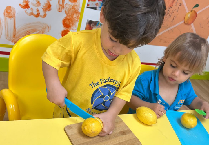 Preschool children slicing fresh lemons during a hands on cooking and gardening class for the Seed to Table summer camp at Brickell International Academy in Miami