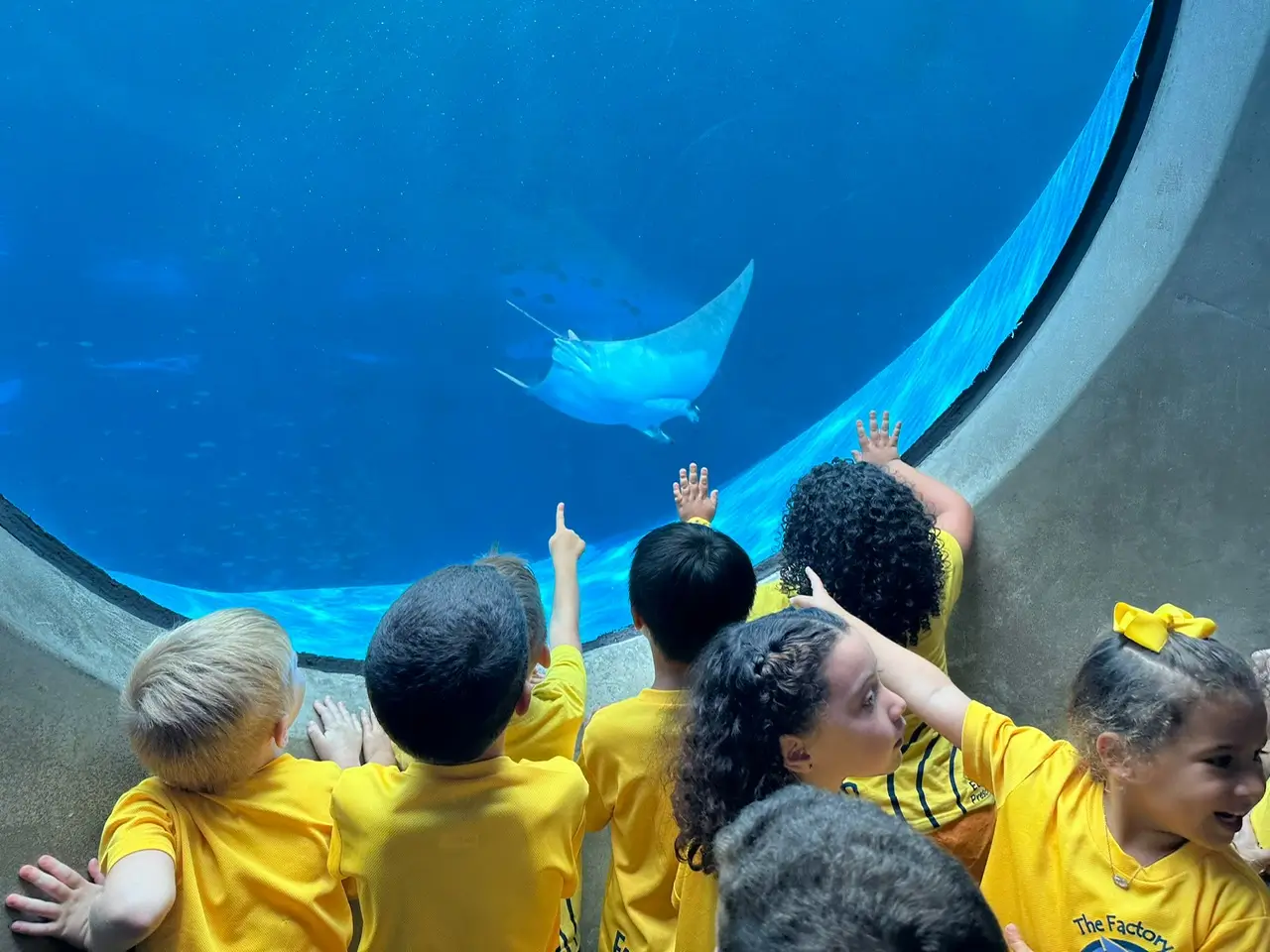 Summer camp students in yellow shirts watching a stingray behind the glass during an aquarium field trip with Brickell International Academy in Miami