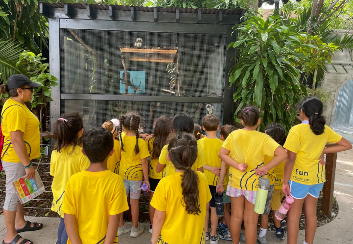 Summer camp children in yellow shirts observing local species inside an outdoor animal habitat exhibit at Brickell International Academy in Miami